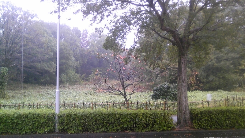 f:id:Df-kyounoyume-Sneonstiamlegnita:20111111122700j:plain f:id:Df-kyounoyume-Sneonstiamlegnita:20111111122700j:plain
