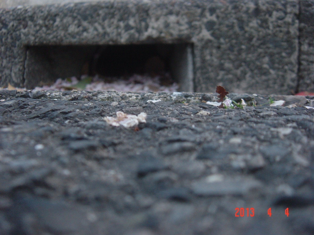 f:id:Df-kyounoyume-Sneonstiamlegnita:20130404180722j:plain f:id:Df-kyounoyume-Sneonstiamlegnita:20130404180722j:plain