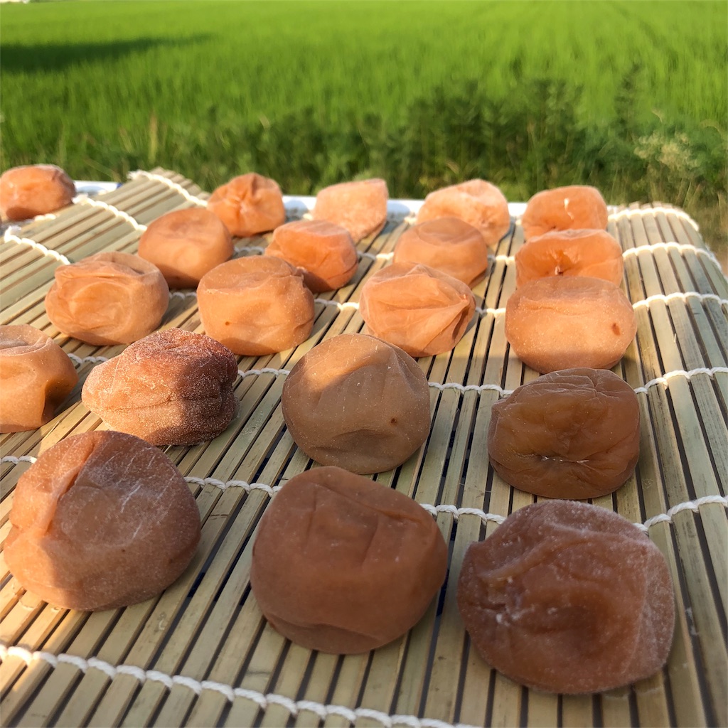 f:id:Diagonalgazer:20180721152748j:image