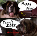 20180101000629