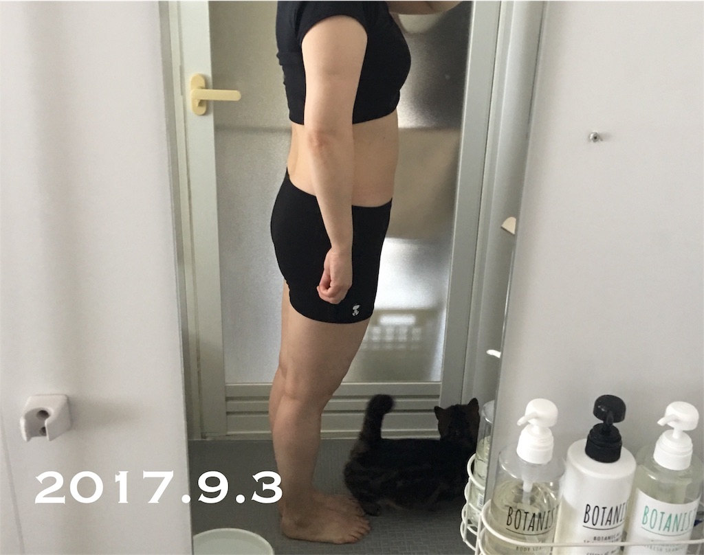 f:id:Diet_8:20170903115529j:image