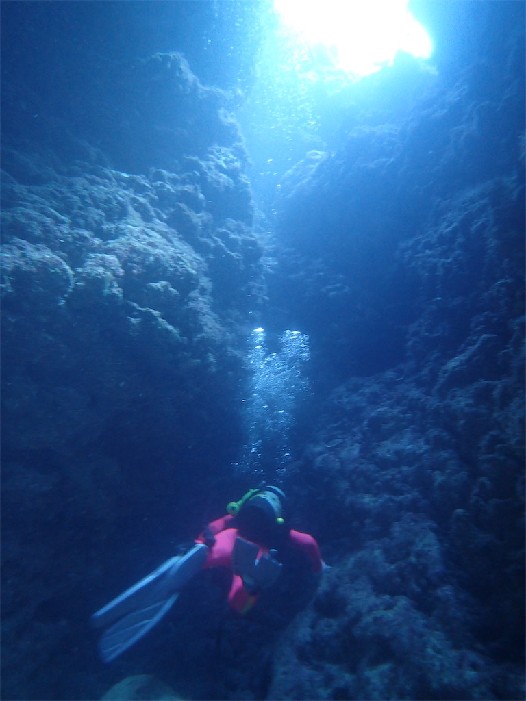 f:id:Dimeora:20251030113055j:image