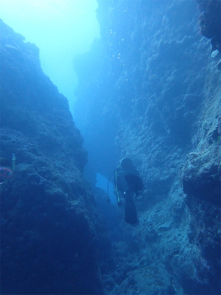 f:id:Dimeora:20251030113059j:image