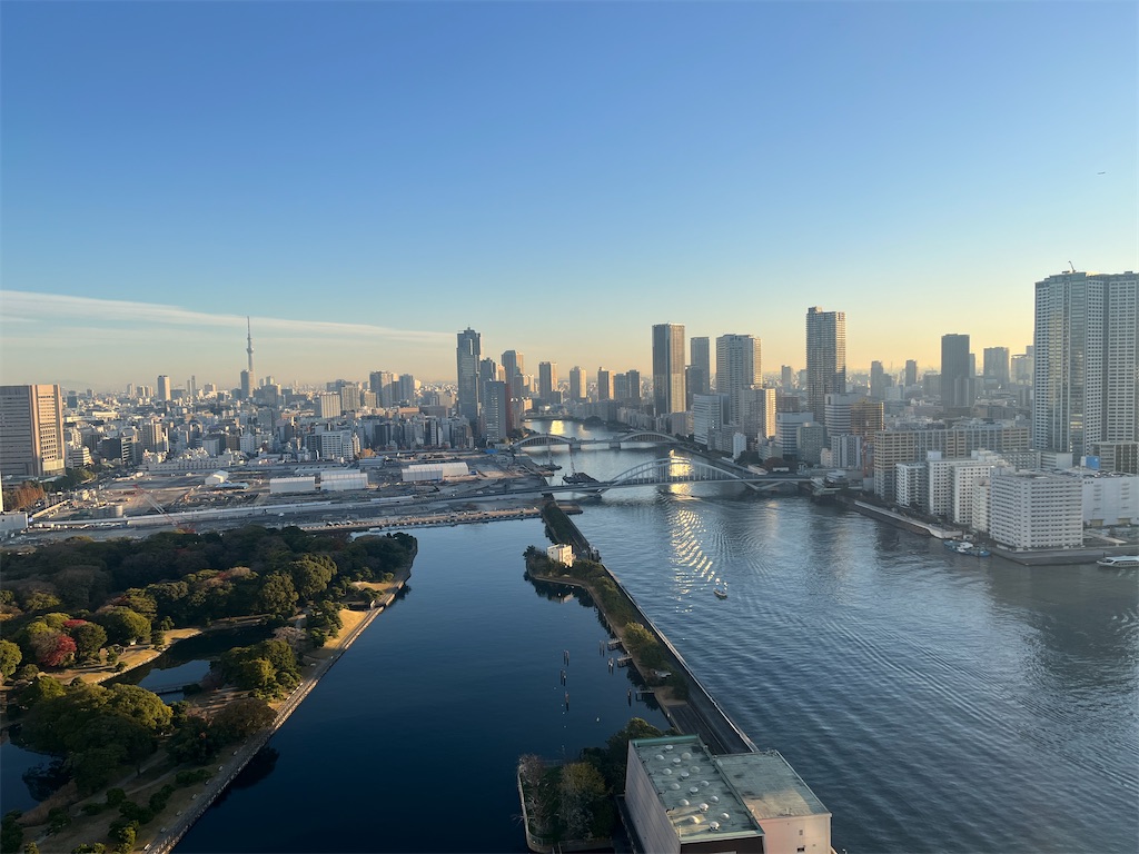 f:id:Dimeora:20260101110158j:image