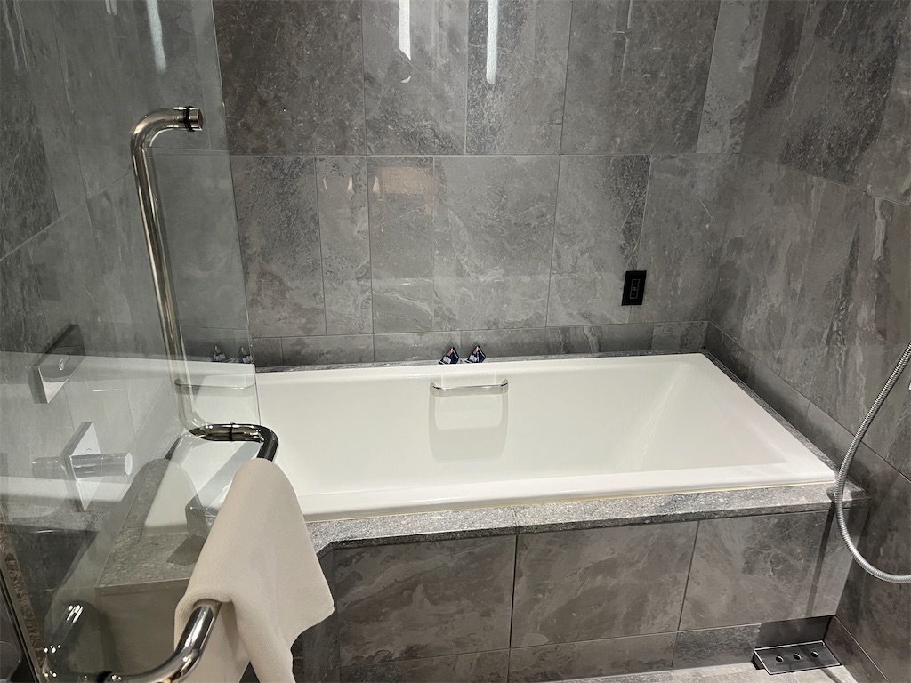 f:id:Dimeora:20260101110230j:image