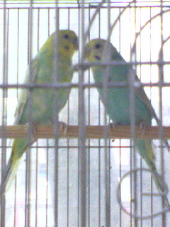 f:id:Dirk_Diggler:20070710193551j:image