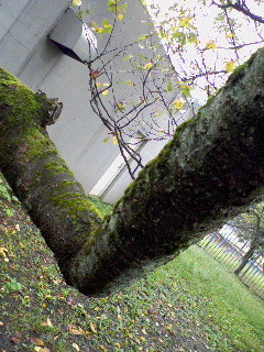 f:id:Dirk_Diggler:20071008151221j:image