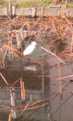 f:id:Dirk_Diggler:20100111000703j:image