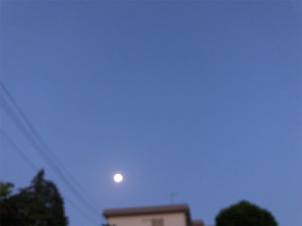 f:id:Divino:20180429161508j:image f:id:Divino:20180429161508j:image
