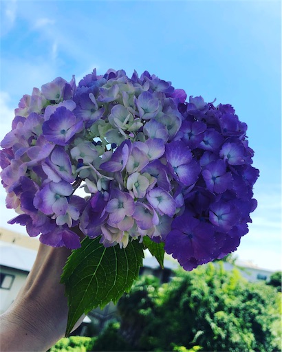 f:id:Divino:20180623112815j:image f:id:Divino:20180623112815j:image