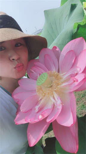 f:id:Divino:20180725123956j:image f:id:Divino:20180725123956j:image