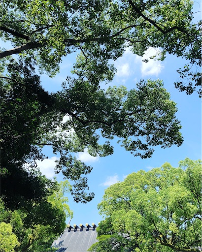 f:id:Divino:20180802173614j:image f:id:Divino:20180802173614j:image