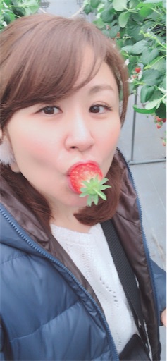 f:id:Divino:20190114160842j:image f:id:Divino:20190114160842j:image