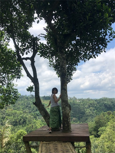 f:id:Divino:20190228144939j:image