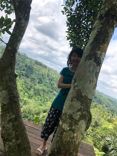 f:id:Divino:20190228144943j:image