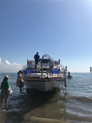 f:id:Divino:20190310151646j:image f:id:Divino:20190310151646j:image