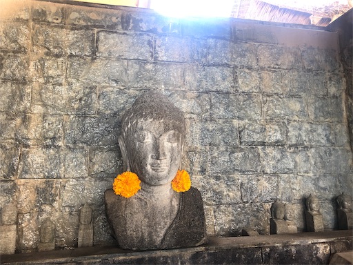 f:id:Divino:20190317225828j:image f:id:Divino:20190317225828j:image