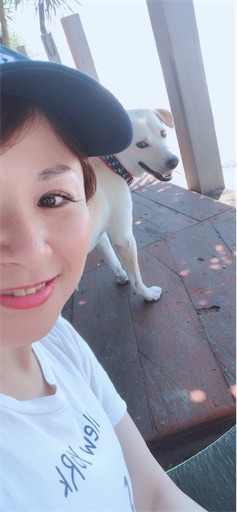 f:id:Divino:20190317230831j:image f:id:Divino:20190317230831j:image