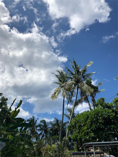 f:id:Divino:20190418112104j:image f:id:Divino:20190418112104j:image