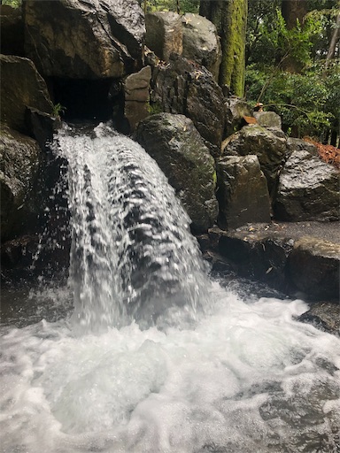 f:id:Divino:20190430225946j:image f:id:Divino:20190430225946j:image