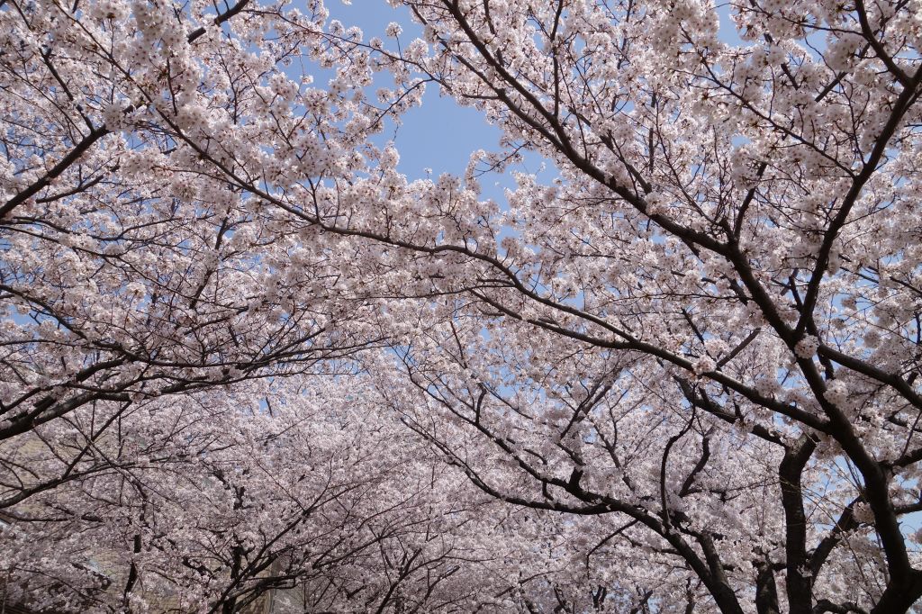 f:id:DoItMyself:20180330061409j:plain