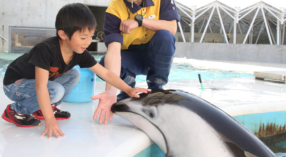 f:id:DoNbeh_G:20170521150721j:plain