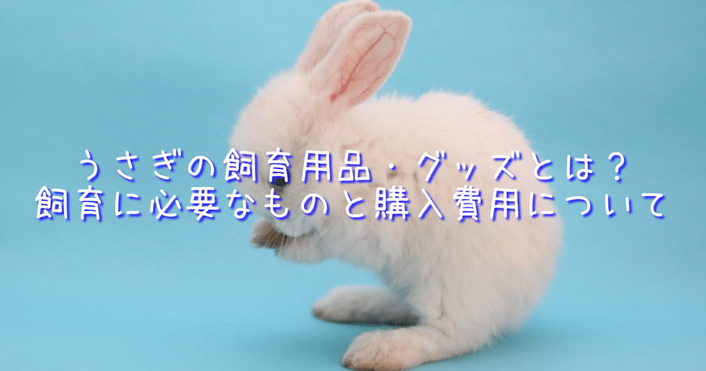 f:id:DoNbeh_G:20181118203701p:plain