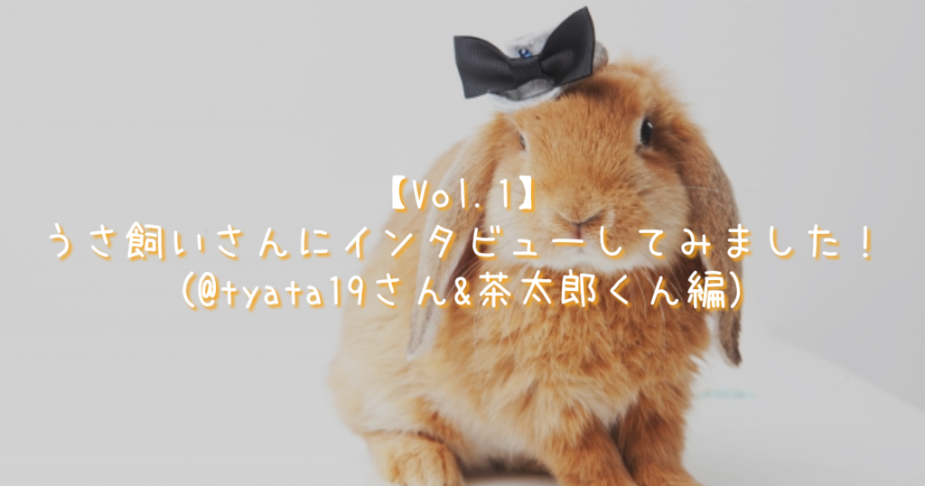 f:id:DoNbeh_G:20181127010324p:plain