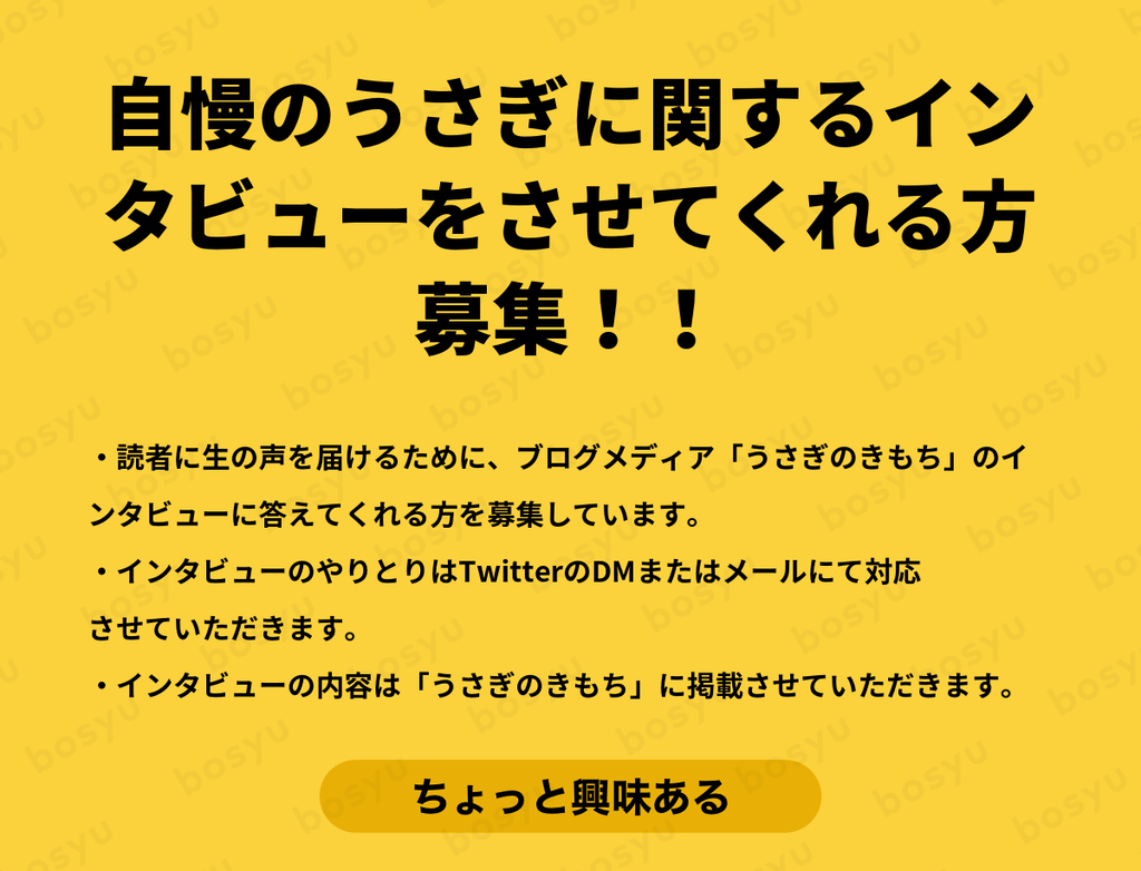 自慢のうさぎに関するインタビューをさせてくれる方募集！！