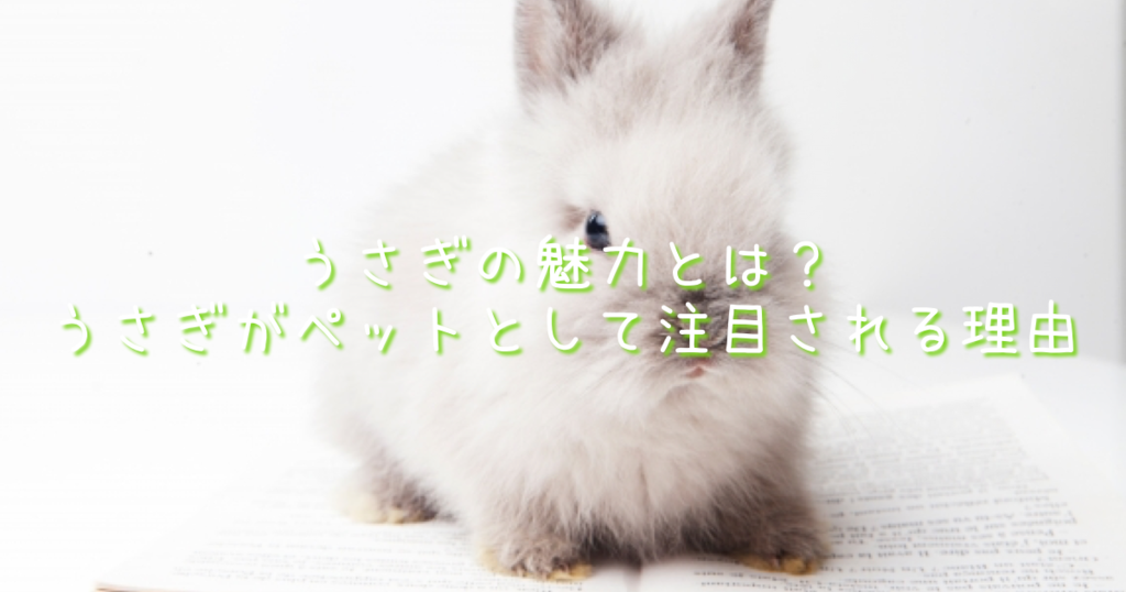 f:id:DoNbeh_G:20181221141818p:plain f:id:DoNbeh_G:20181221141818p:plain