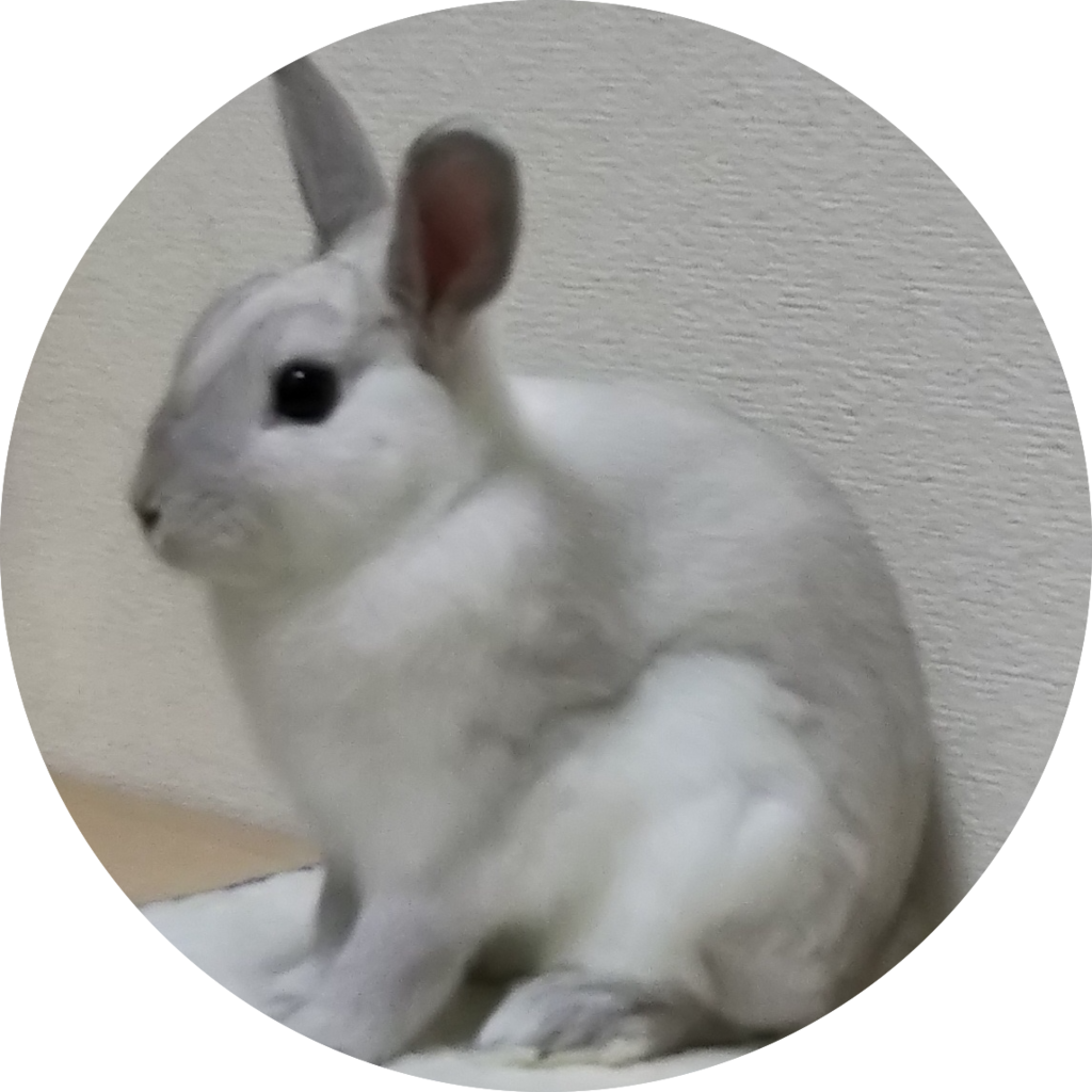 うさぎのモコくん うさぎのモコくん