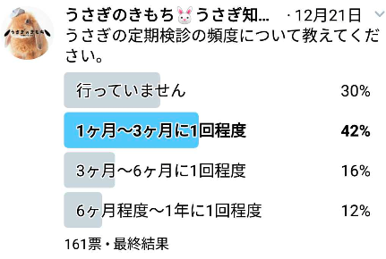 うさぎにペット保険は必要 人気ペット保険を徹底比較3社を徹底比較 アニコム損保 ペットライフジャパン 日本アニマル倶楽部 うさぎのきもち Rabbit S Life