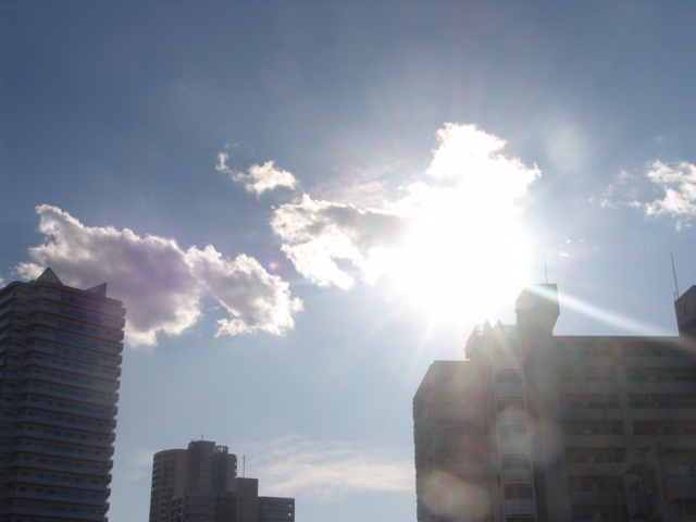 f:id:DocSeri:20090110141102j:image:w320