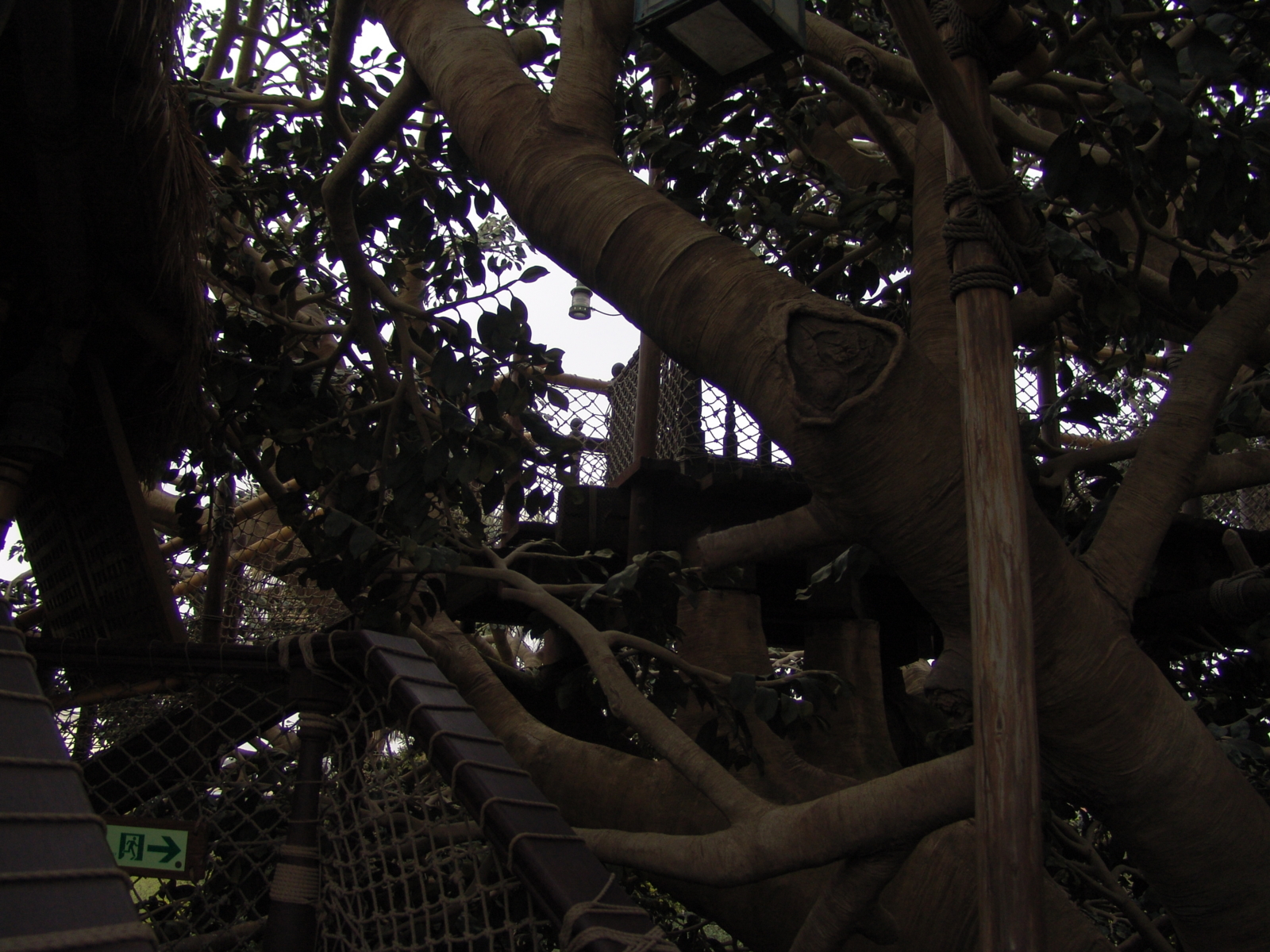 f:id:DocSeri:20090417145235j:image:w320