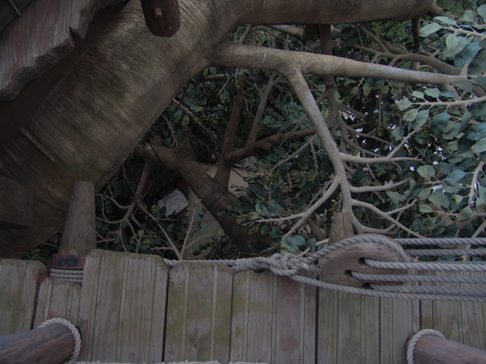f:id:DocSeri:20090417145328j:image:w320