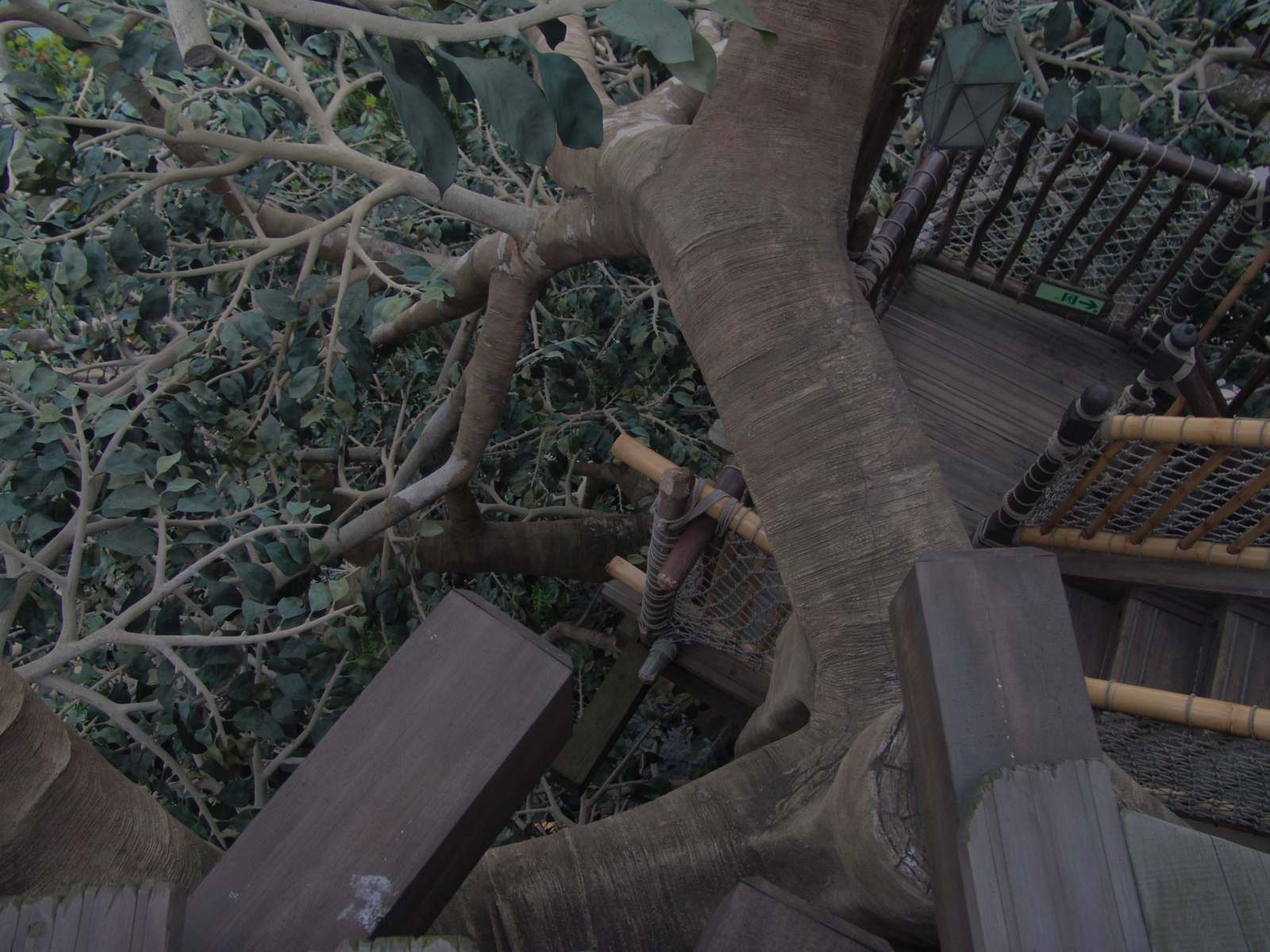 f:id:DocSeri:20090417145406j:image:w320