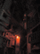 f:id:DocSeri:20090516153134j:image:small