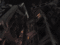 f:id:DocSeri:20090516153142j:image:small