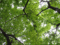 f:id:DocSeri:20090615033252j:image:small