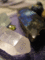 f:id:DocSeri:20090615121725j:image:small