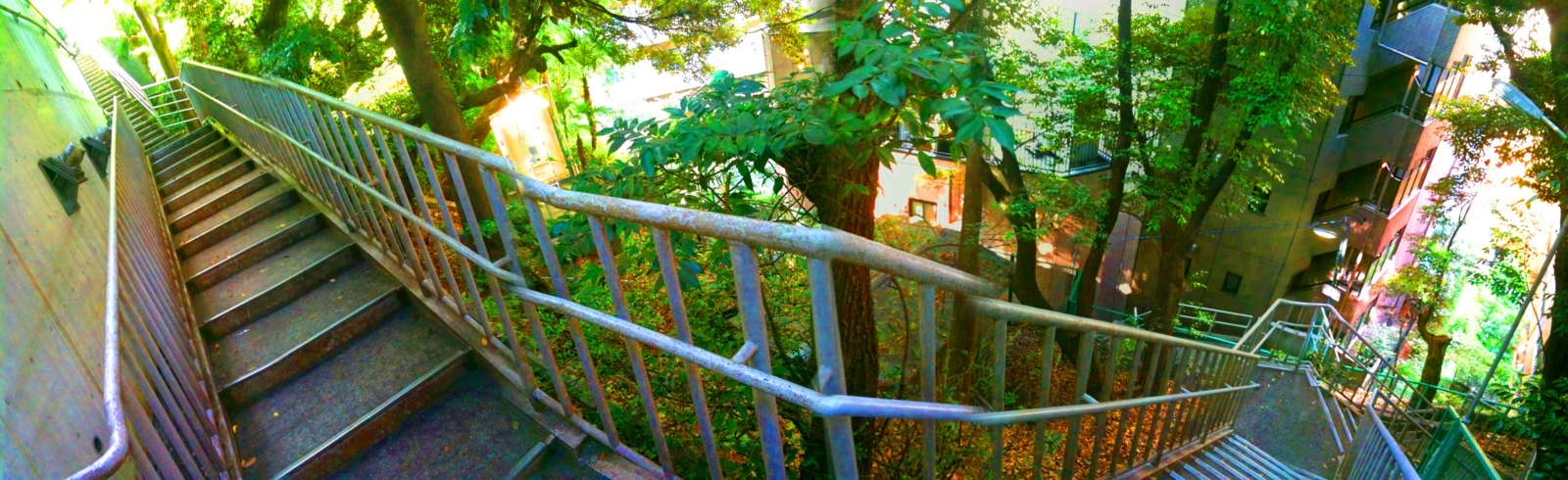 f:id:DocSeri:20090825202550j:image:w400 f:id:DocSeri:20090825202550j:image:w400