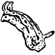 f:id:DocSeri:20091227212711p:image f:id:DocSeri:20091227212711p:image
