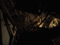 f:id:DocSeri:20100127021917j:image:small