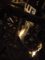 f:id:DocSeri:20100127022109j:image:small