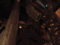 f:id:DocSeri:20100127142423j:image:small