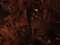 f:id:DocSeri:20100127143039j:image:small