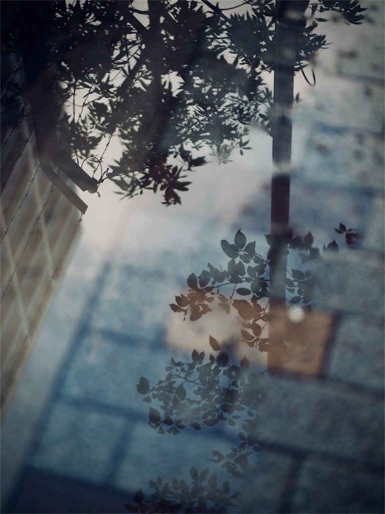 f:id:DocSeri:20180420104305j:image f:id:DocSeri:20180420104305j:image
