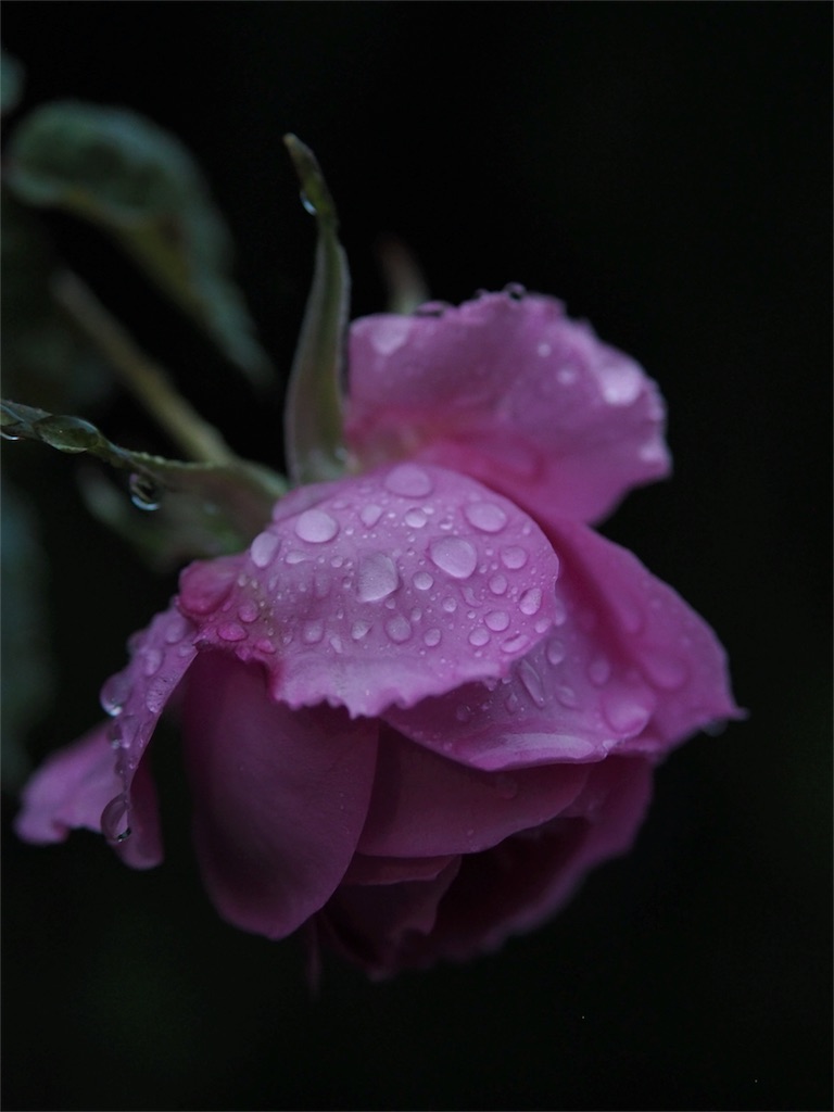 f:id:DocSeri:20180420104831j:image f:id:DocSeri:20180420104831j:image