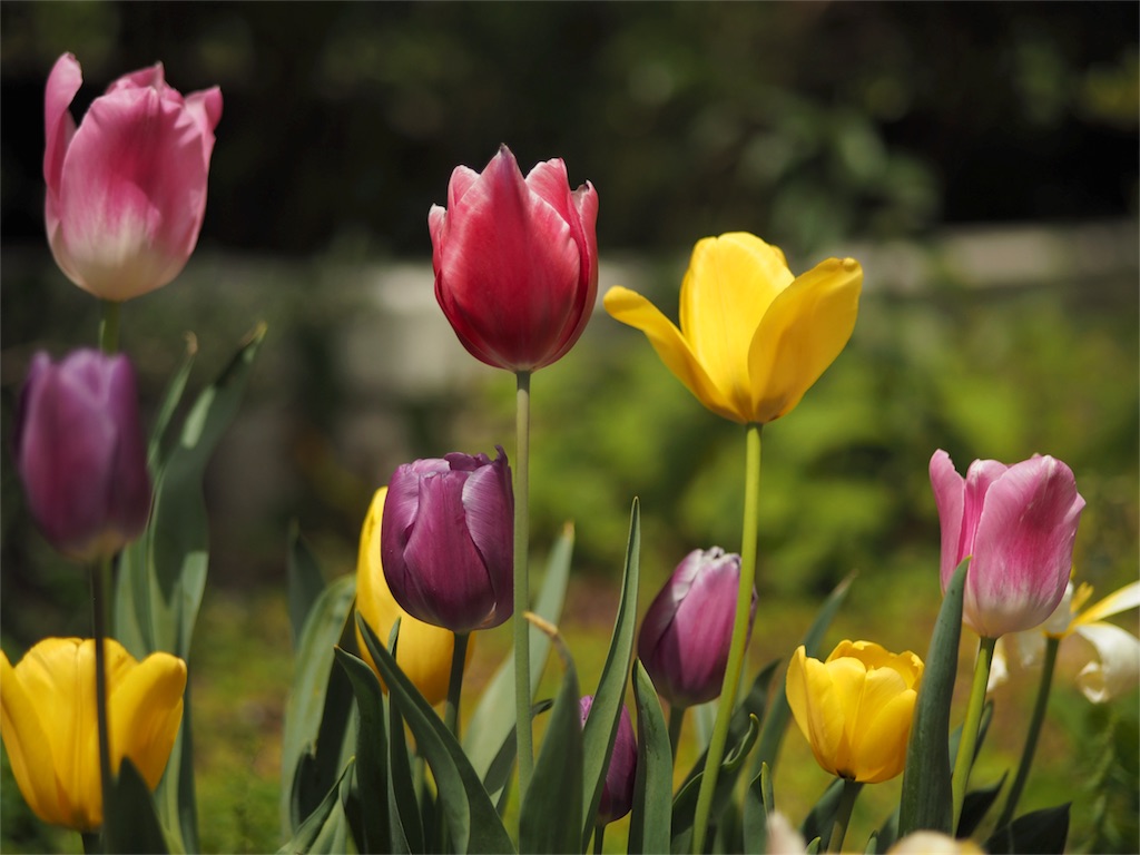 f:id:DocSeri:20180420105022j:image f:id:DocSeri:20180420105022j:image