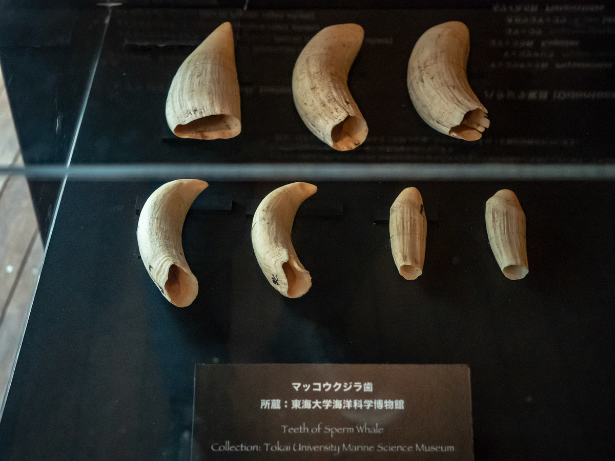 f:id:DocSeri:20180924130848j:plain